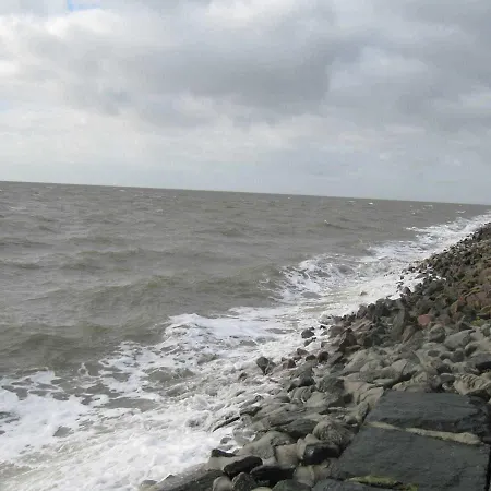 Bue _ Stuempelhuk Büsum